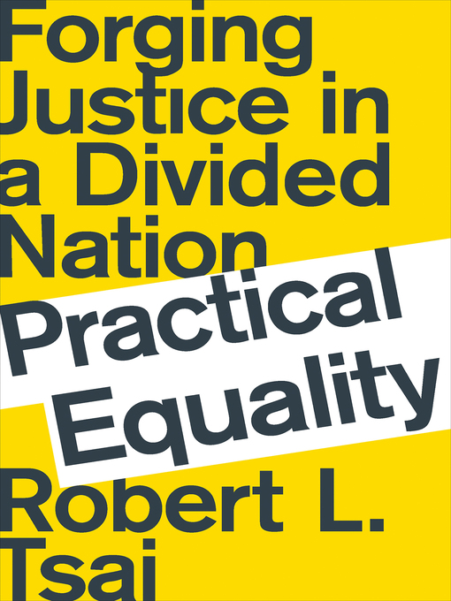 Title details for Practical Equality by Robert L. Tsai - Wait list